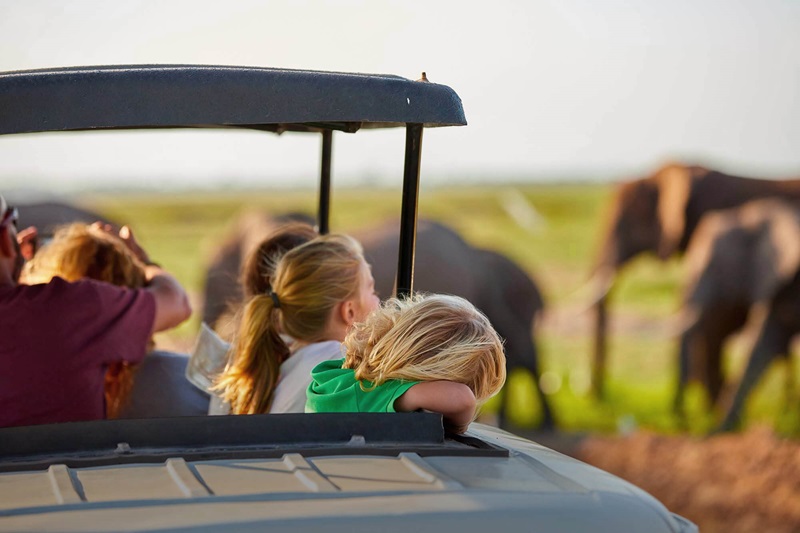 Does a Safari Suit Children?