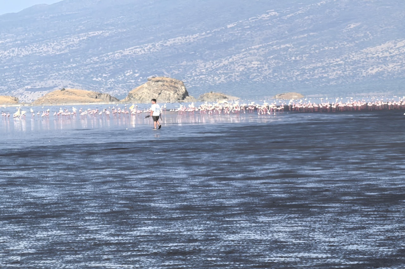 A DAY TRIP ITNERARY TO LAKE MANYARA NATIONAL PARK