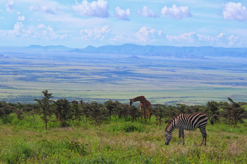 A DAY TRIP ITNERARY IN NGORONGORO CRATER