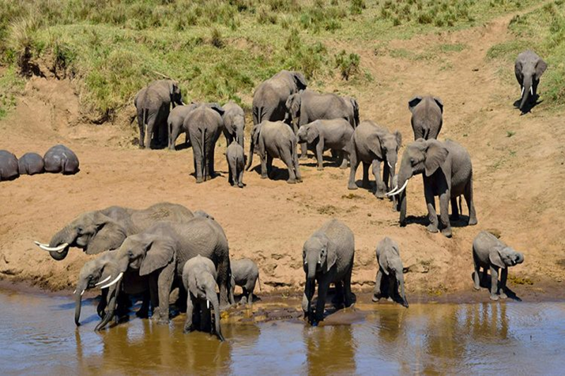 2 DAYS SAFARI COVERING TARANGIRE AND NGORONGORO CRATER